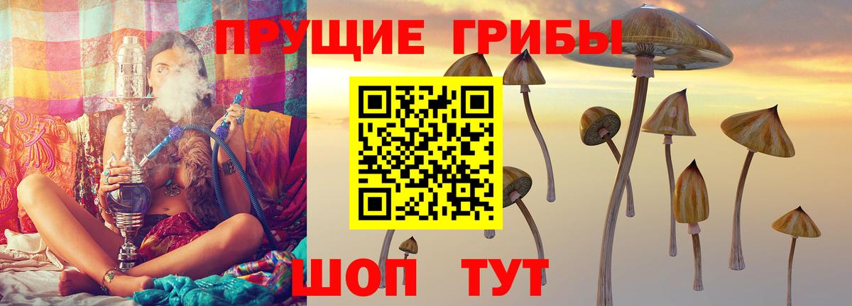 Орехово-Зуево  Псилоцибиновые грибы прущие грибы  Вход с VPN 